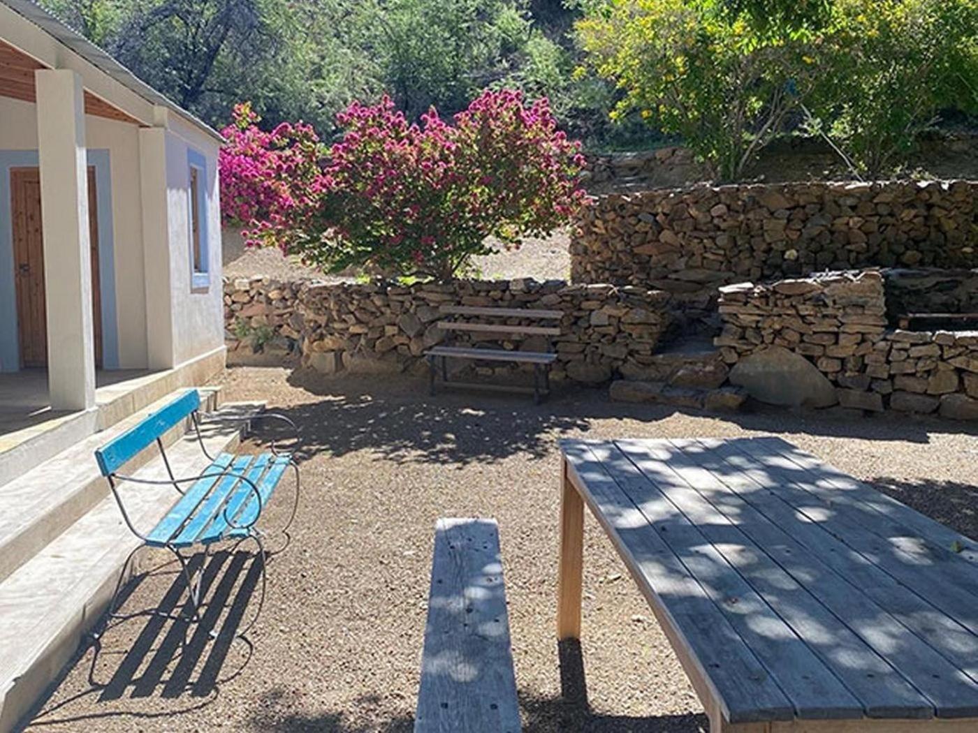 דירות פרינס אלברט Weltevrede Fig Farm חדר תמונה